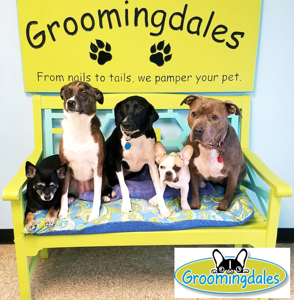 groomingdales